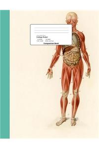 Human Body Theme College Ruled Composition Book