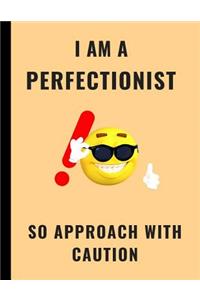 I Am a Perfectionist So Approach with Caution