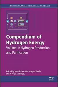 Compendium of Hydrogen Energy