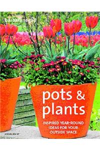 Pots And Plants