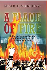 A Flame of Fire: A Story of My Own Identity and What It, Means to Be a Minority in Iran