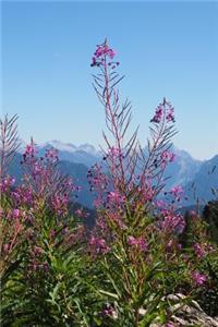 Fireweed Flowers in a Mountain Meadow Journal