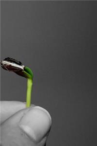 Seed Propagation Notebook