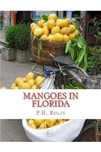 Mangoes in Florida