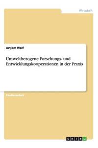 Umweltbezogene Forschungs- und Entwicklungskooperationen in der Praxis