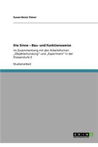 Sinne - Bau- und Funktionsweise