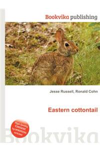 Eastern Cottontail