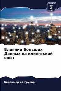 &#1042;&#1083;&#1080;&#1103;&#1085;&#1080;&#1077; &#1041;&#1086;&#1083;&#1100;&#1096;&#1080;&#1093; &#1044;&#1072;&#1085;&#1085;&#1099;&#1093; &#1085;&#1072; &#1082;&#1083;&#1080;&#1077;&#1085;&#1090;&#1089;&#1082;&#1080;&#1081; &#1086;&#1087;&#109