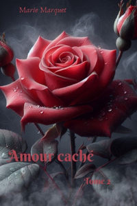 Amour caché - Tome 2