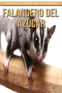 Falangero del azúcar