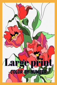 Large Print Color By Number