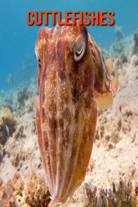 Cuttlefishes