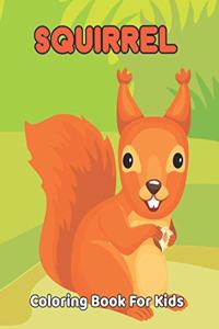 Squirrel Coloring Book For Kids