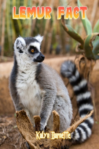 Lemur Fact