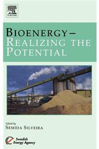 Bioenergy - Realizing the Potential