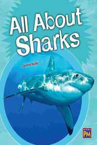 All about Sharks