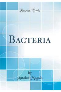 Bacteria (Classic Reprint)