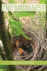 Birds' Nest