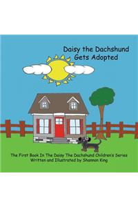 Daisy The Dachshund Gets Adopted