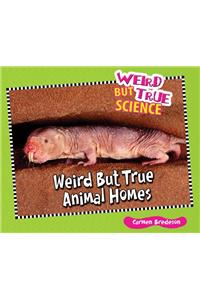 Weird But True Animal Homes