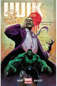 Hulk Volume 1: Banner DOA