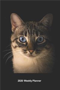 Plan On It 2020 Weekly Calendar Planner - Here Kitty Kitty