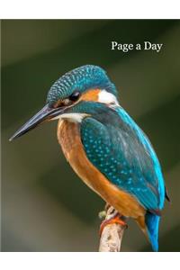 Page a Day