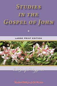 Studies in the Gospel of John