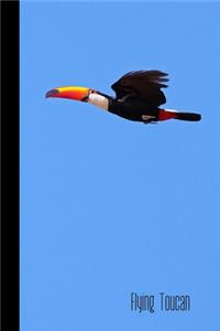 Flying Toucan