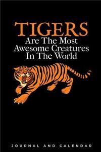 Tiger Are the Most Awesome Creatures in the World