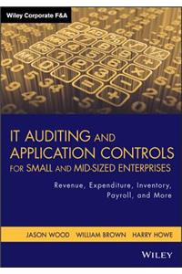It Auditing and Application Controls for Small and Mid-Sized Enterprises: Revenue, Expenditure, Inventory, Payroll, and More