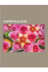 Caprifoliaceae