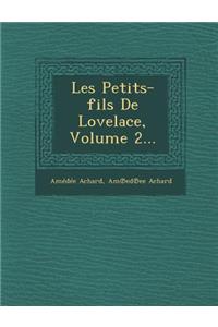 Les Petits-Fils de Lovelace, Volume 2...