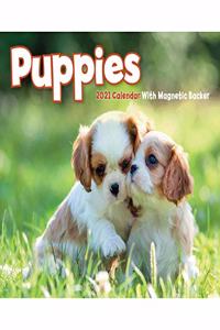 PUPPIES MINI BOX CALENDAR 2021