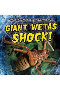 Giant Wetas Shock!