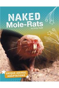 Naked Mole-Rats