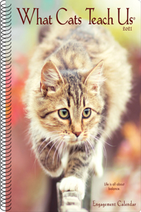 What Cats Teach Us 2021 Engagement Calendar