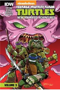 Teenage Mutant Ninja Turtles: New Animated Adventures: Volume 3