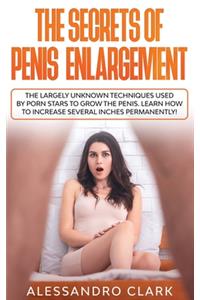 The Secrets of Penis Enlargement