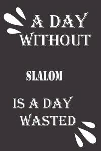 day without slalom is a day wasted