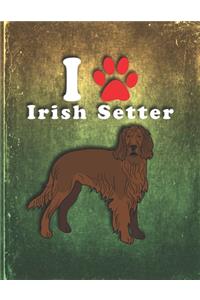 Irish Setter