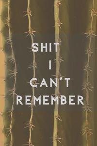 Shit I Can't Remember