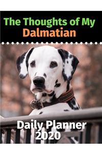 The Thoughts of My Dalmatian