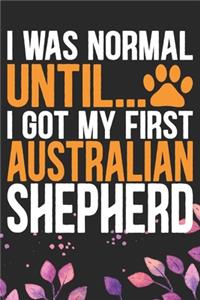 I Was Normal Until I Got My First Australian Shepherd