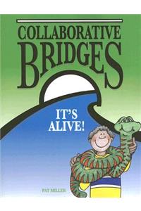 Collaborative Bridges
