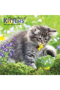 Kittens, for the Love of 2021 Mini 7x7 Foil