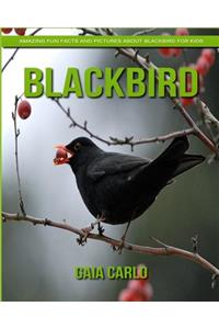 Blackbird