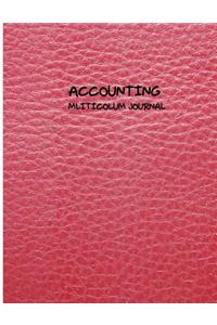 Accounting Multicolumn Journal