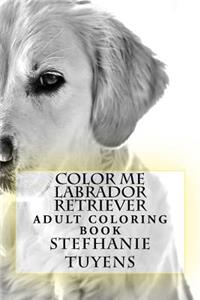 Color Me Labrador Retriever