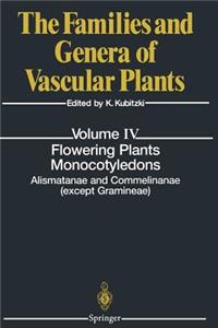 Flowering Plants. Monocotyledons